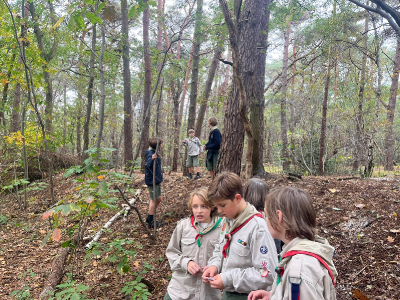 Sint-Martinus den XIIde - september-oktober